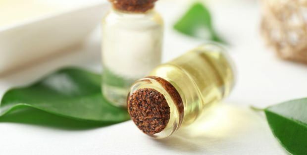 Mitkä ovat teepuuöljyvoiteen hyödyt iholle? Teepuuöljyvoiteen käytön suositukset