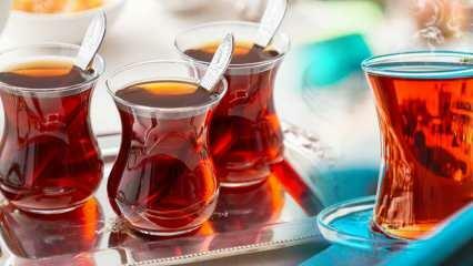 Mitkä ovat Evidean parhaat teekuppimallit? 2022 Parhaat teekuppimallit ja hinnat
