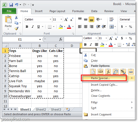 liitä excel 2010: n erityistoiminto