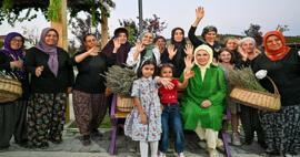 Ensimmäinen nainen Erdoğan vieraili ekologisessa kylässä ja poimi laventelia Ankarassa