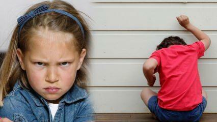 Kuinka käsitellä lasten vihaongelmaa? Lasten vihan ja aggression syy 