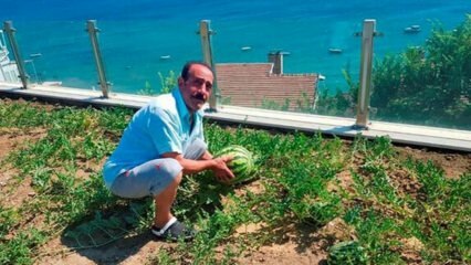 Kansan runoilija Aşık Ali Nurşani odottaa apua!