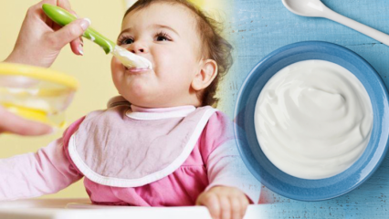 Kuinka tehdä jogurttia vauvoille? Kotitekoiset hedelmäjogurtti reseptit vauvoille
