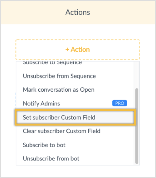Napsauta + Action-painiketta ja valitse Set Subscriber Custom Field.
