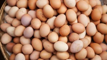 Mitä tulisi ottaa huomioon valittaessa munaa?