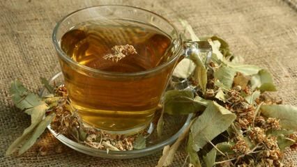 Mitä hyötyä pärnasta on? Mitkä sairaudet ovat hyviä? Kuinka tehdä pärnalta teetä?
