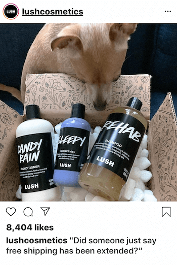 Instagram-liiketiedote koiran kanssa