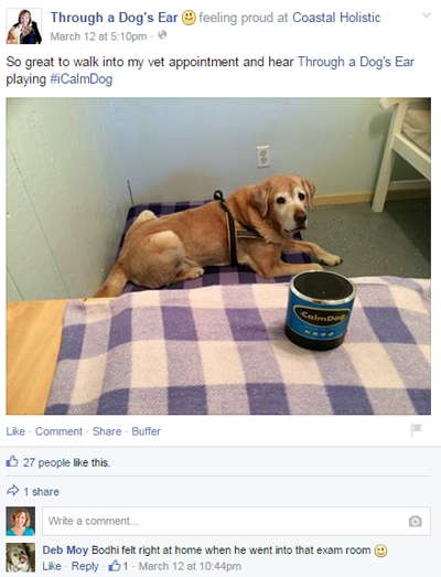 koiran korvan facebook-viestin kautta