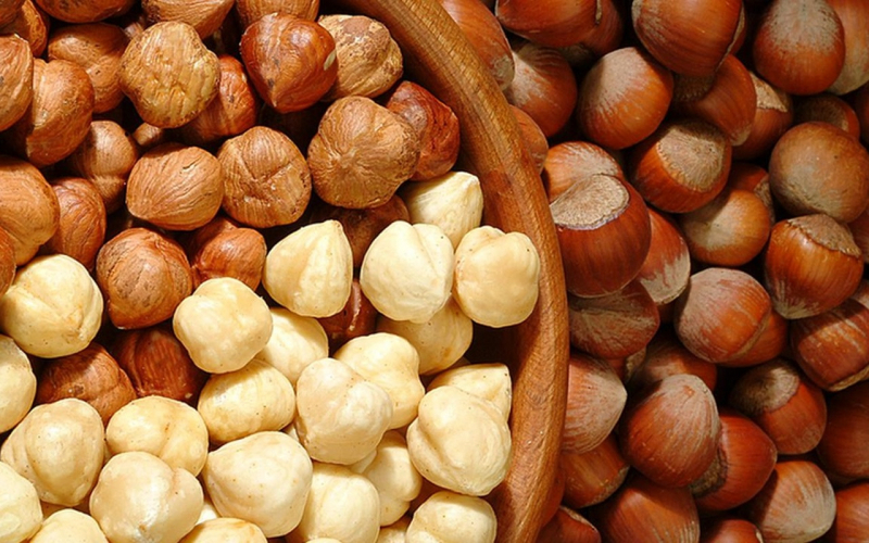 Mitä hasselpähkinän etuja on? Mitä hasselpähkinänkuoret tekevät? Jos syöt kourallisen raakaa pähkinää ...