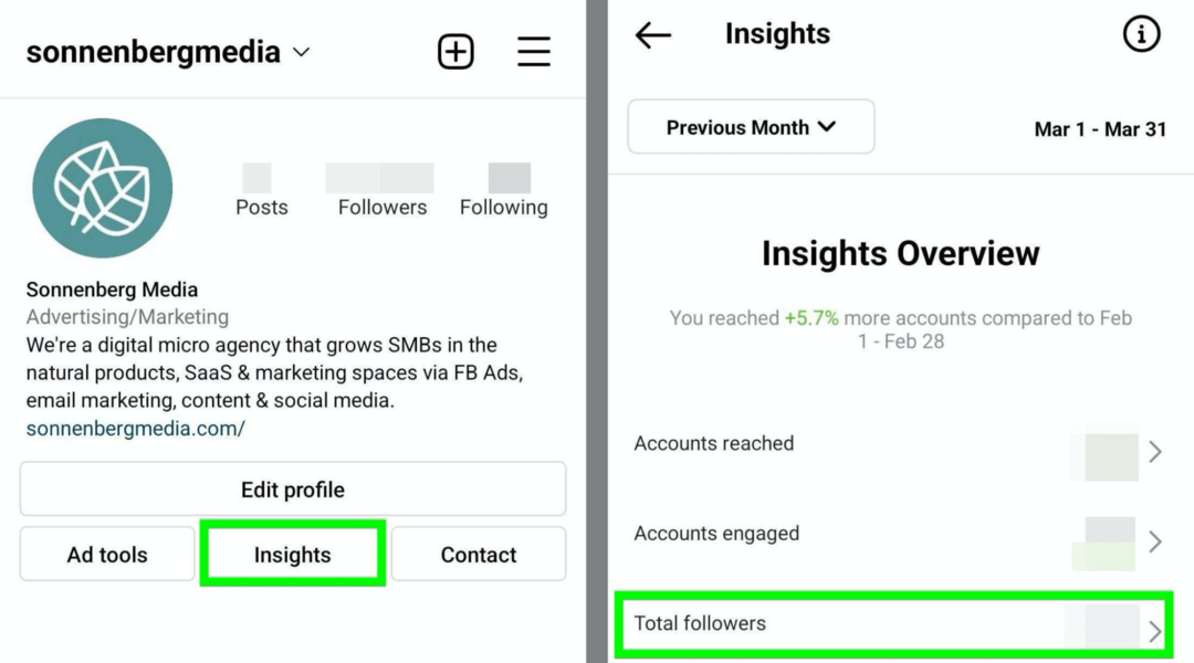 kuva Instagram Insights Total Followers -vaihtoehdosta