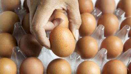 Käytännön neuvoja munien pitämiseksi tuoreina